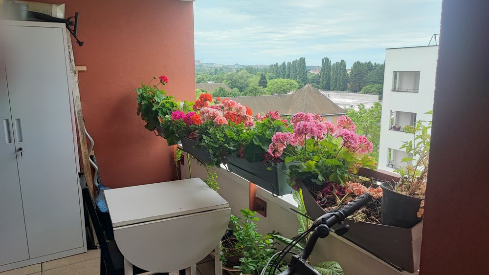 Vente Appartement je un appartement F2 a neuilly sur marne 37m2 Neuilly-sur-marne