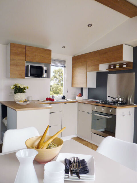 Mobil-Home Mobil-Home 2021 occasion L&egrave;ge-Cap-Ferret 33950