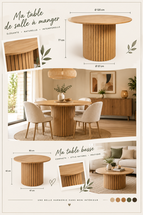 Table + table basse 330 Valence (26)