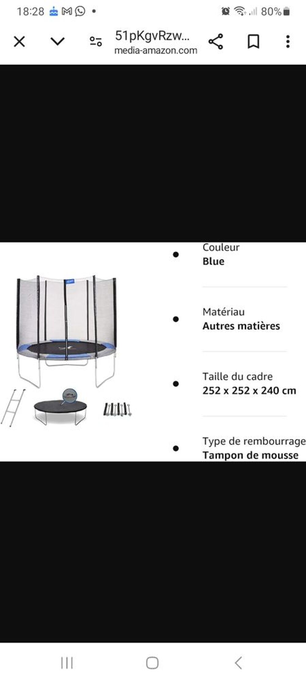 Trampoline Sports