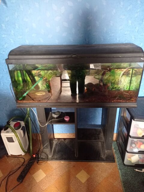 Aquarium 100 44330 Vallet