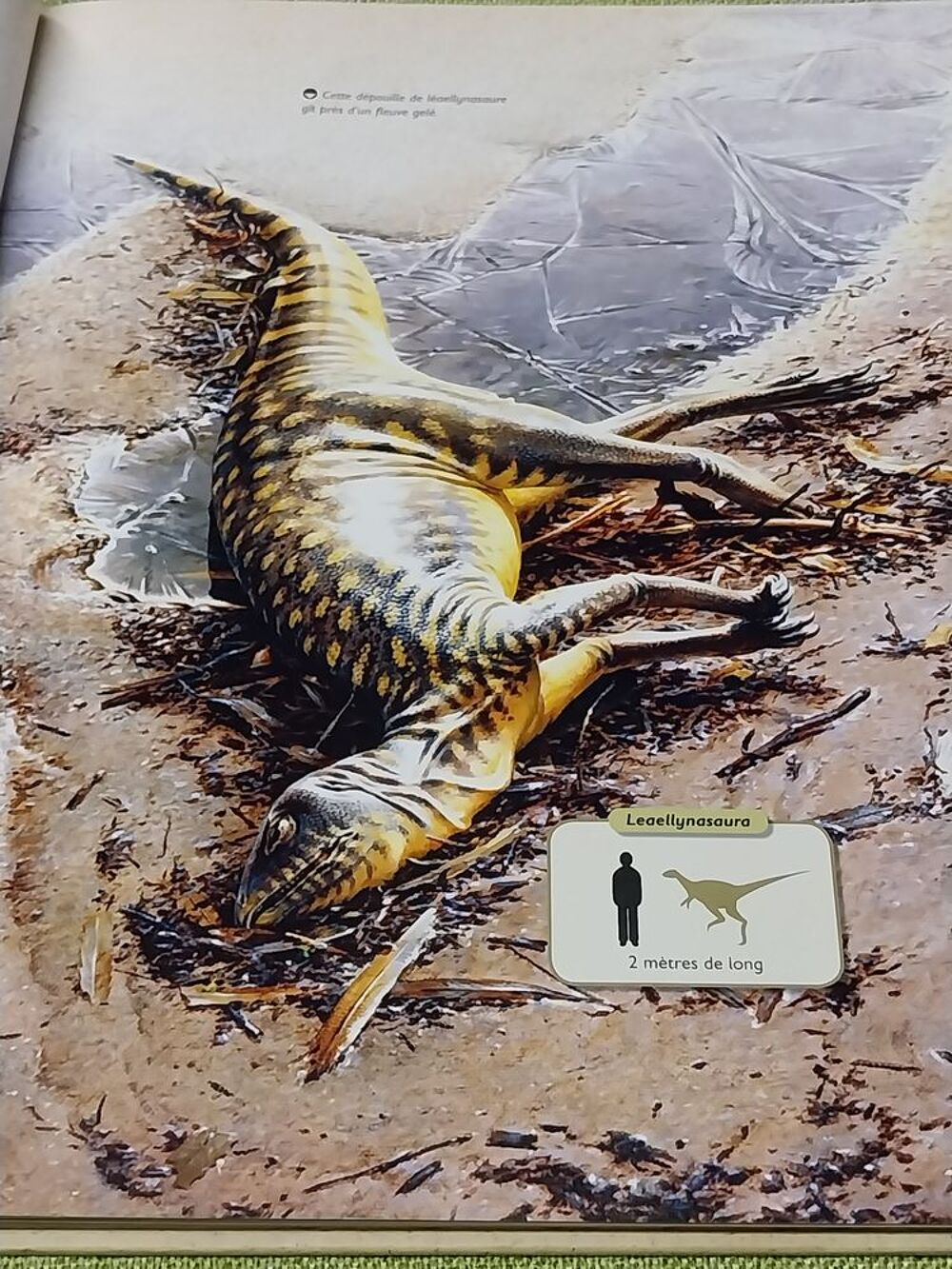 Dinosaures le livre de tous les secrets Rupert Matthews Livres et BD
