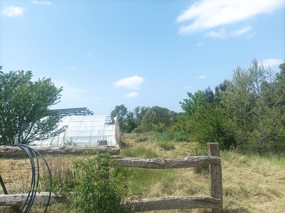Vente Terrain Poulailler 83m2 + Batiment stockage 83m2 - Forage. 2,6 ha Saint-pargoire