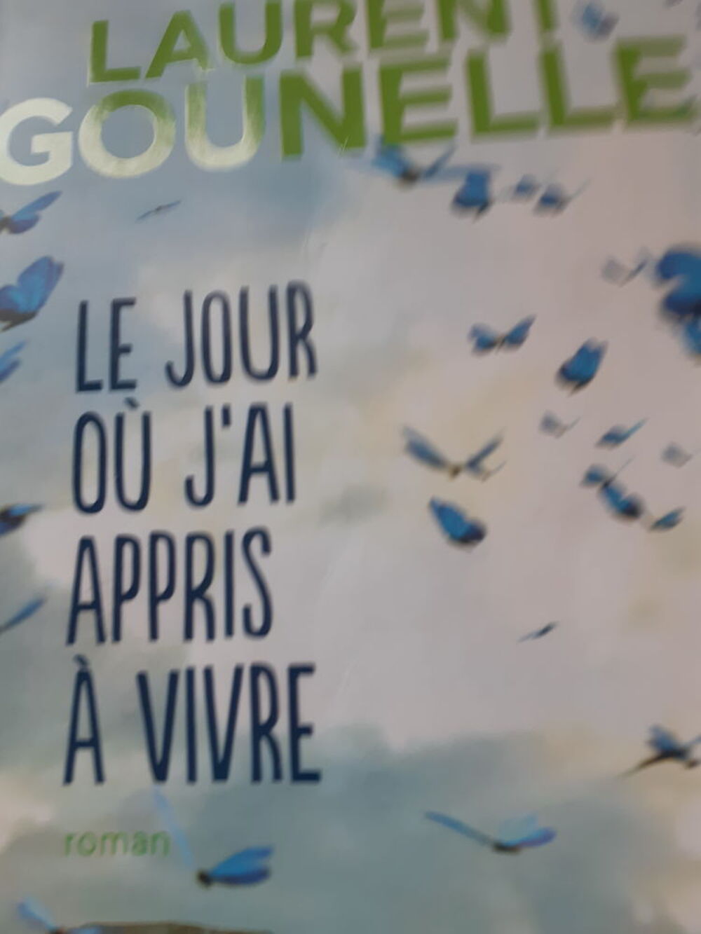 LIVRE LAURENT GOUNELLE LE JOUR OU J'AI APPRIS A VIVRE Livres et BD
