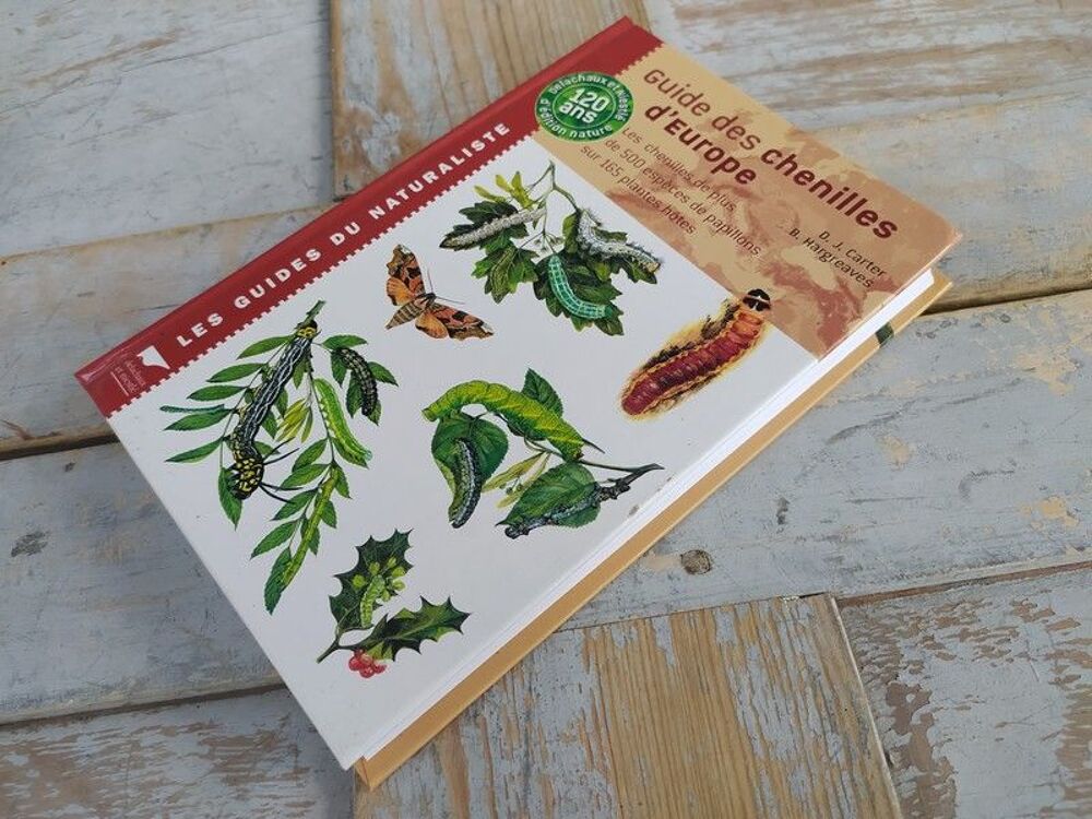 Livre Delachaux et Niestl&eacute; Guide des Chenilles d'Europe
Livres et BD