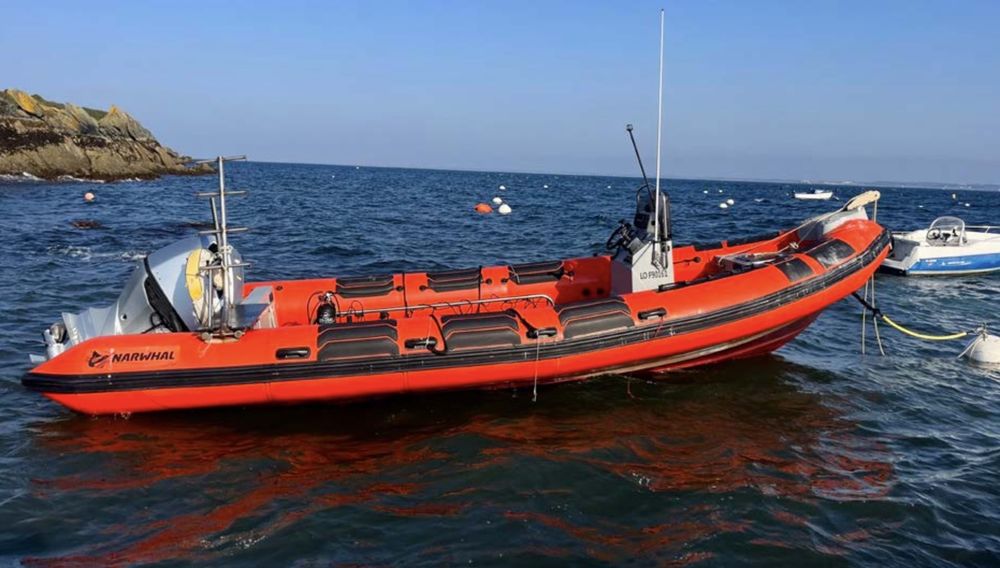 Pneumatique - Semi-rigide 2019 occasion 56100 Lorient