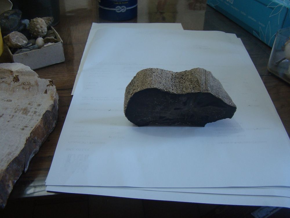 Autre tranche de bois fossile 