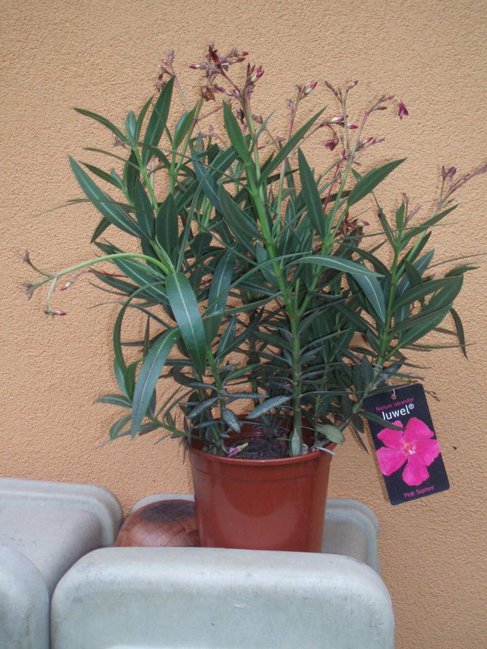 jardini&egrave;res en pvc Jardin