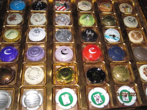 Capsules de Champagne 15 Saint-Priv (89)