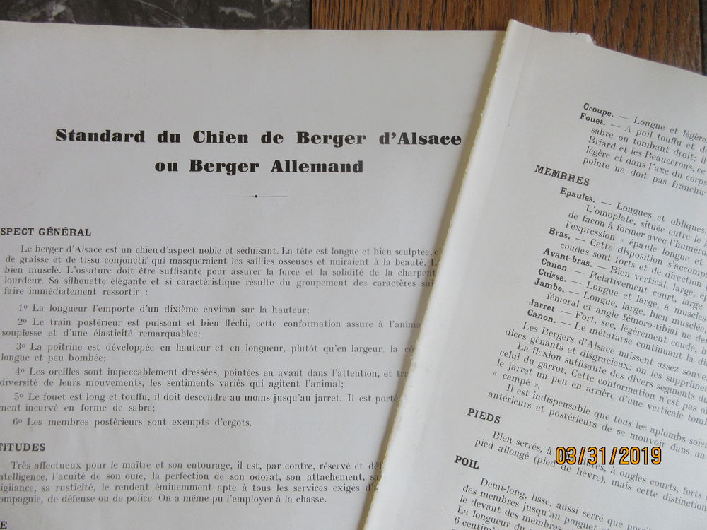 GRAVURE CHIEN BERGER ALLEMAND 1934 