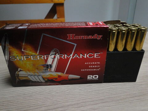 Boite de 20 balles 7x64 mm 162gr SST Superformance Hornady 55 Chamb�ry (73)
