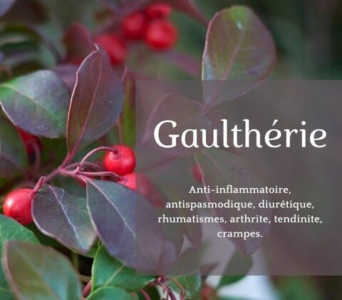 Huiles essentielles de gaulthrie,  romarin Grenoble (38)