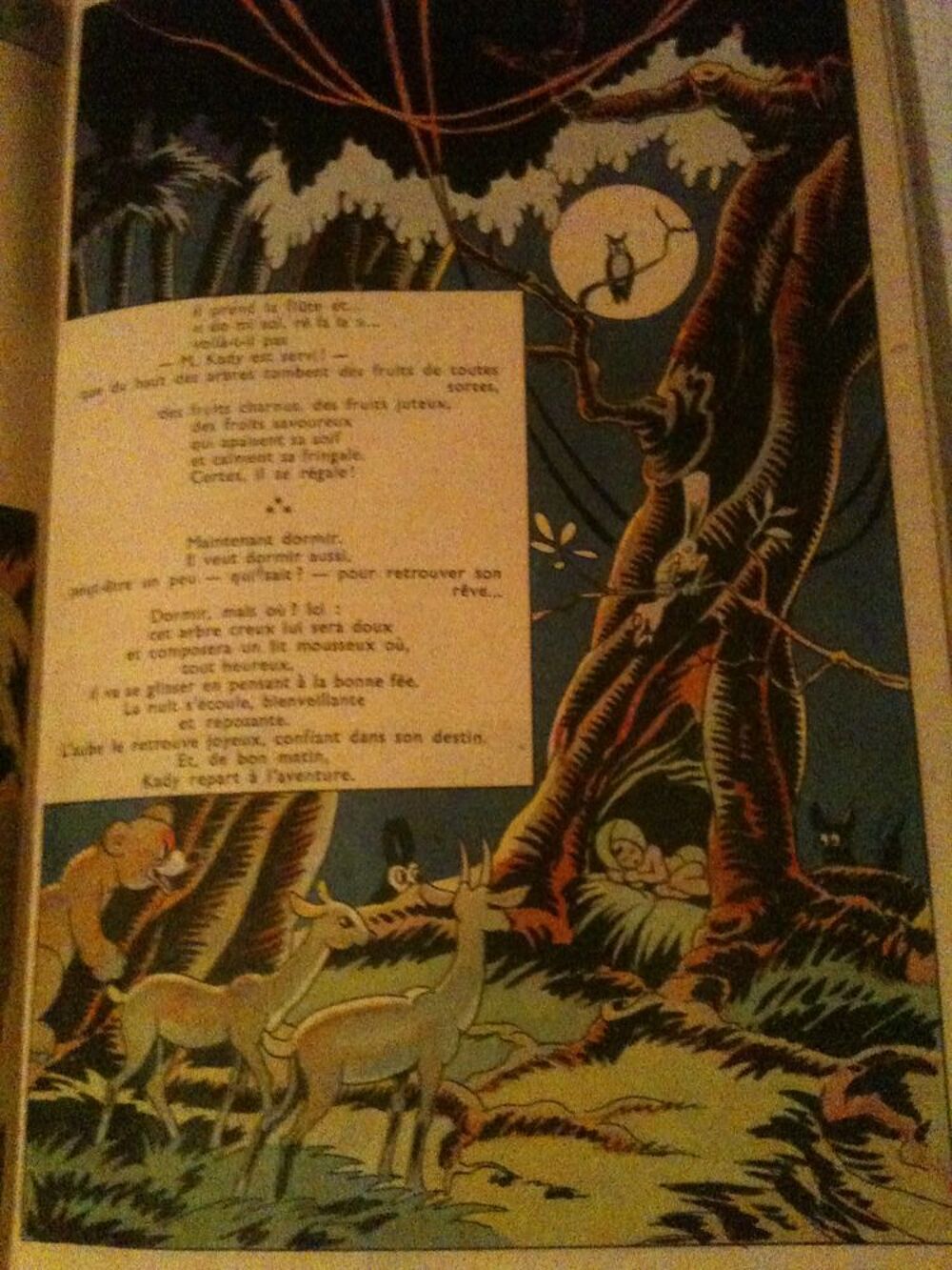 Jean ARBULEAU, Kady et la fl&ucirc;te enchant&eacute;e. &Eacute;diteur : SAGEDI Livres et BD