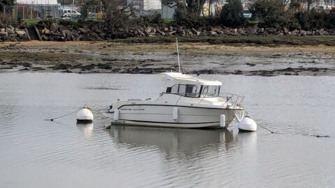 Bateaux à moteur Pêche-promenade 2016 occasion La Forêt-Fouesnant 29940