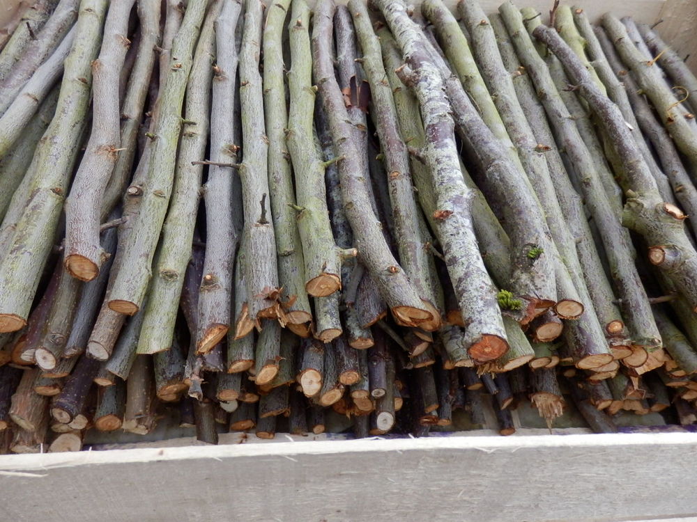 Bois pour allumer la chemin&eacute;e ou le BBQ (poirier, prunier) - Jardin