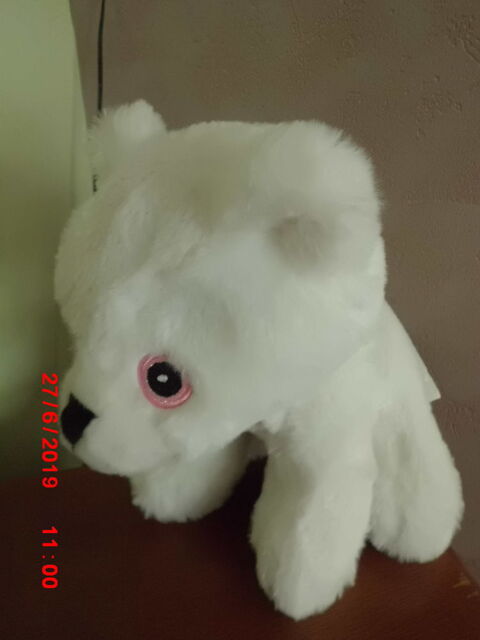 OURS BLANC ZEEMAN 15 Oignies (62)