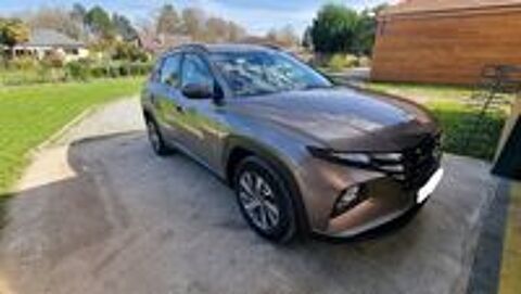 Tucson 1.6 T-GDI 150 Hybrid 48V iBVM Intuitive 2022 occasion 64160 Morla&agrave;s