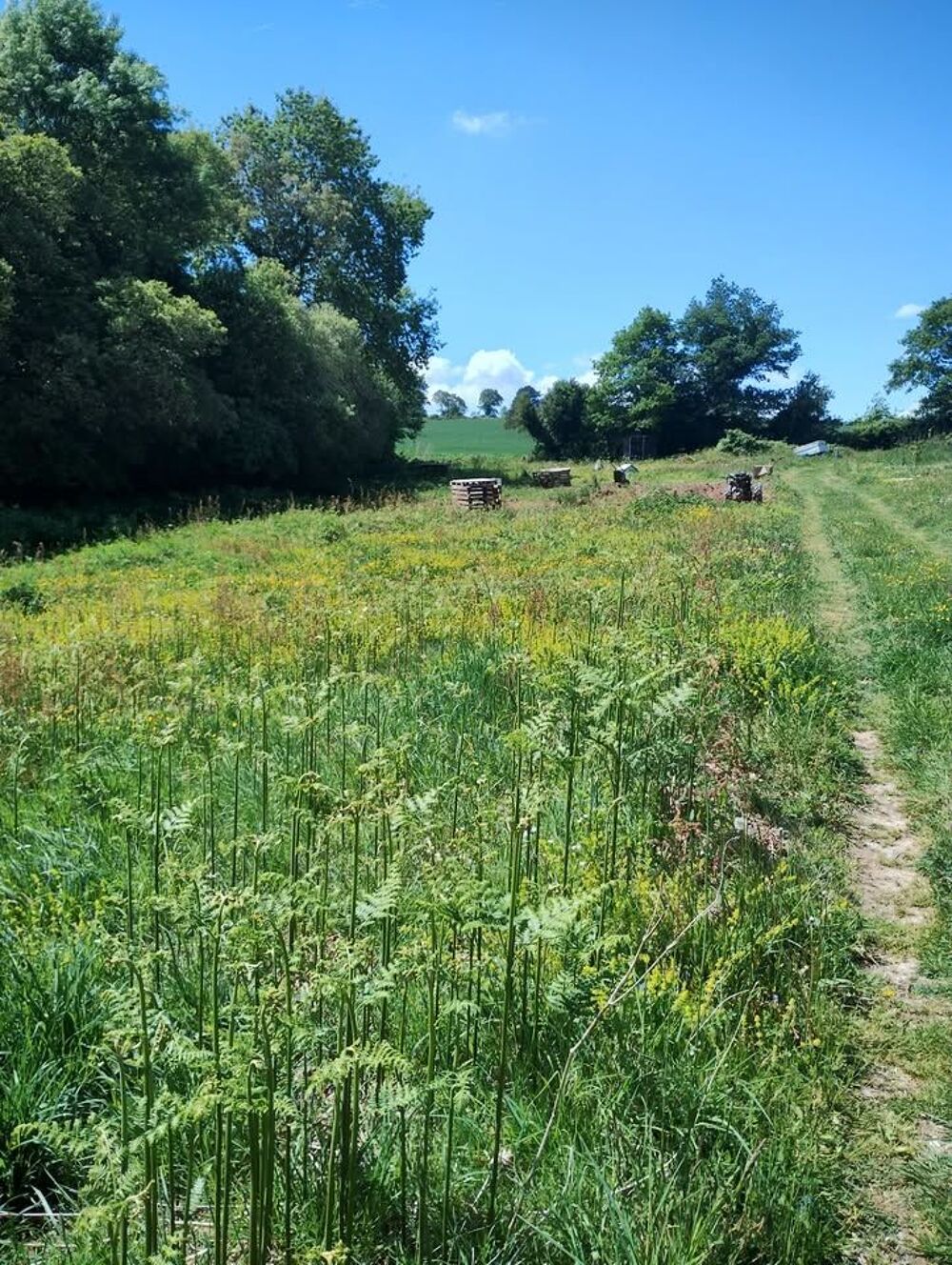 Vente Terrain Terrain 1 hectare, possibilité Sévérac