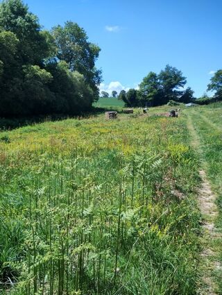  Terrain à vendre 10000 m² Sévérac