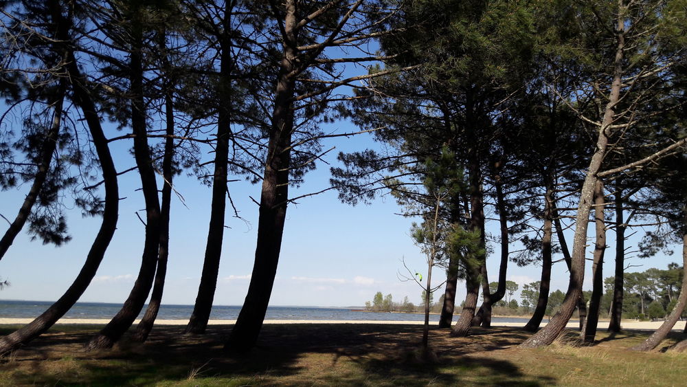   Biscarrosse-Maison 6 pers avec wifi proche des plages du lac Vacances  / Offres de location 
