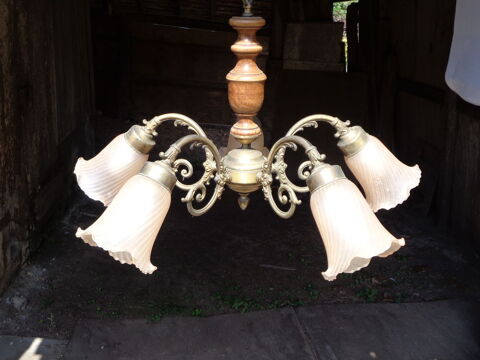 LUSTRE 5 BRANCHES
12 M�zos (40)