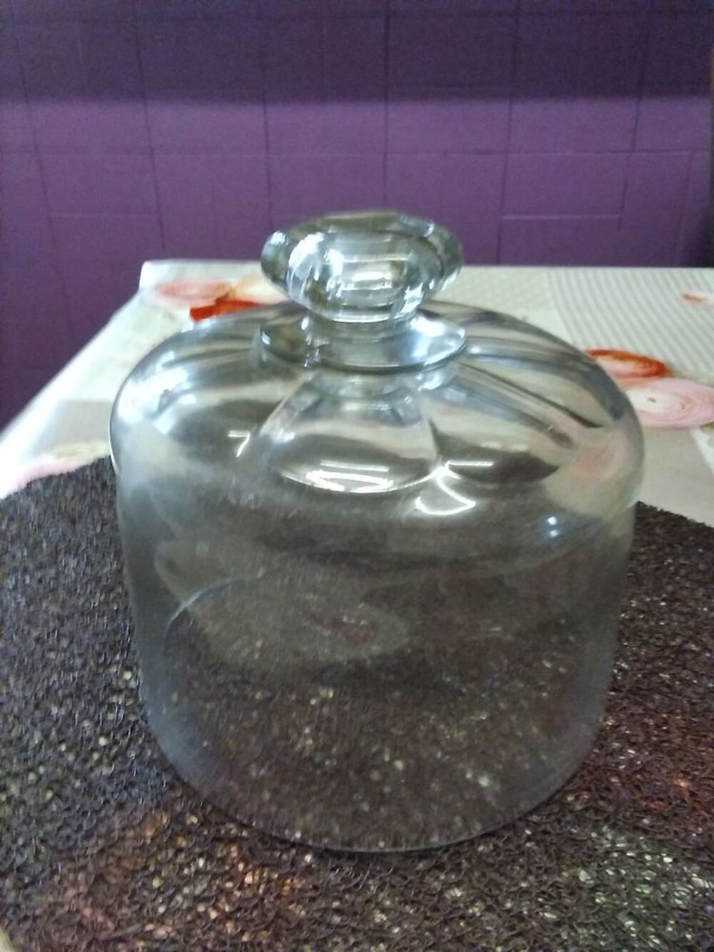 cloche a fromage ancienne verre &eacute;pais Décoration