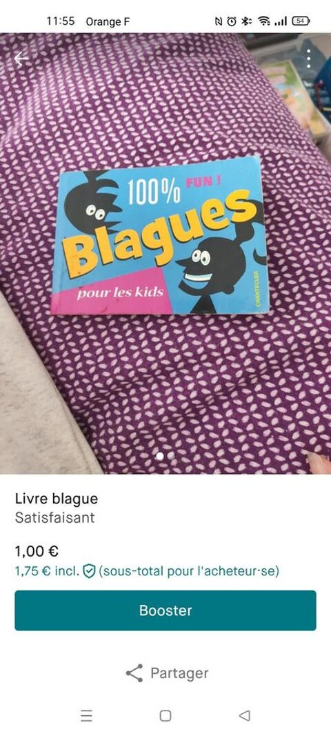 BLAGUES 1 Pau (64)