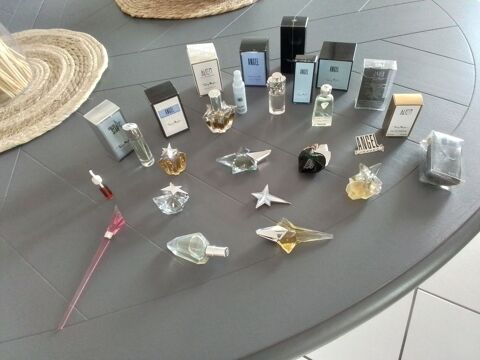 Lot de miniature de parfum 45 Clermont-Ferrand (63)