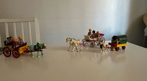 Playmobile 0 Toulouse (31)