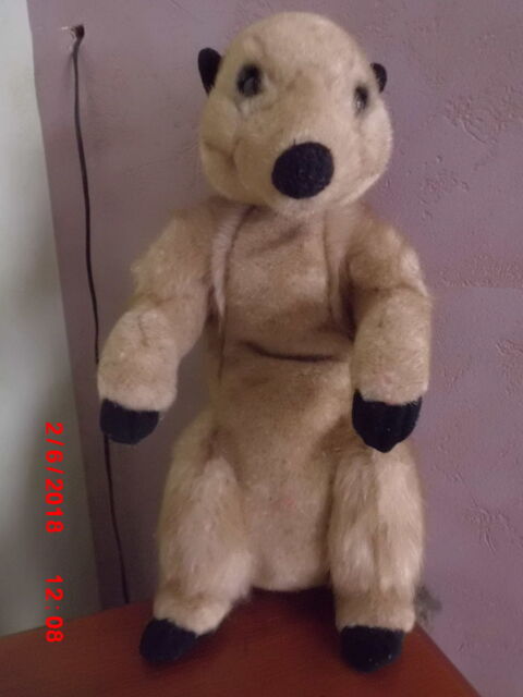 SURICATE BEIGE NATIONAL GEOGRAPHIC 19 Oignies (62)