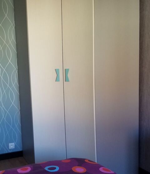 Lot 2 armoires 499 Chenve (21)