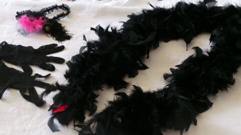 DEGUISEMENTS CHARLESTON 4 Charantonnay (38)