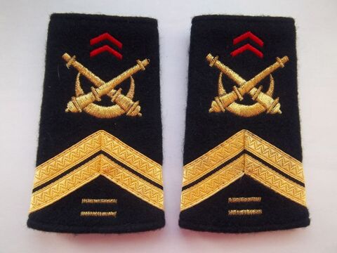lot fourreaux artillerie troupes d'Afrique 10 ans anciennet� 12 Valognes (50)