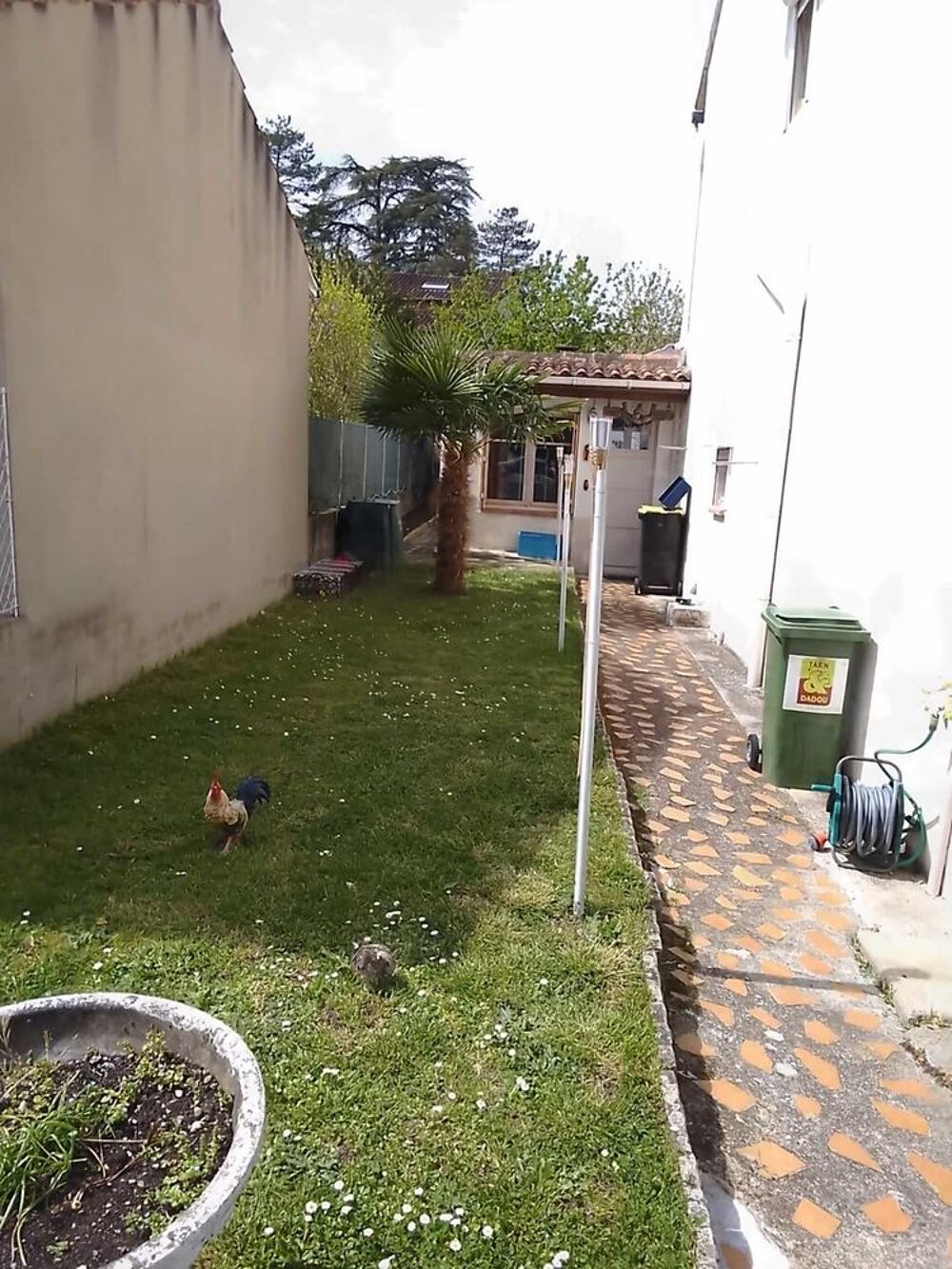 Vente Maison Maison centre ville rénovée Graulhet