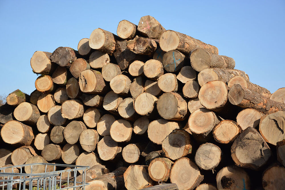 Bois de chauffage Chene Bricolage