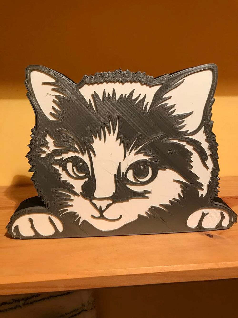 Lampe CHATON &eacute;clairage leds &agrave; piles Décoration