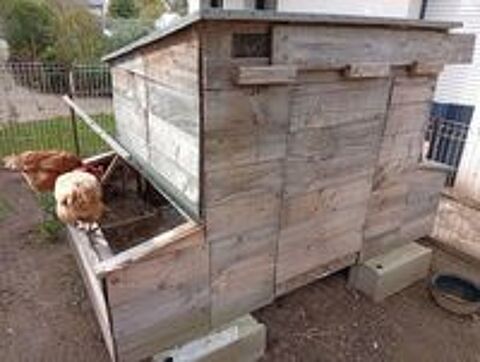   poulailler pour 6 poules 