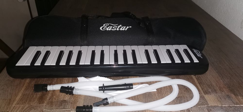 Piano melodica Instruments de musique