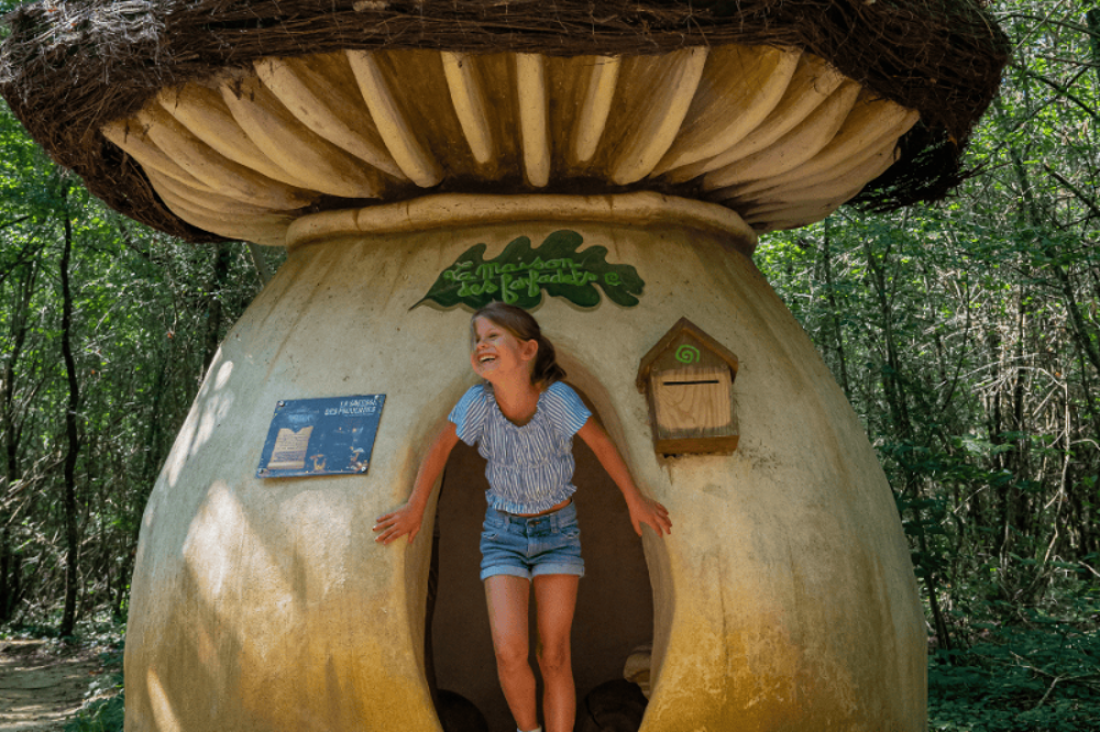PASS 4 parcs Vall&eacute;e Singes Cormenier Parc Belle, D&eacute;fiPlanet' Billetterie