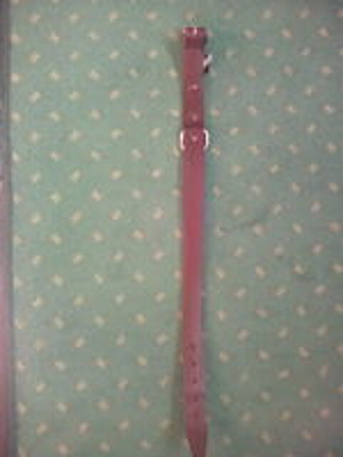   Collier Chien / Chiot T2 