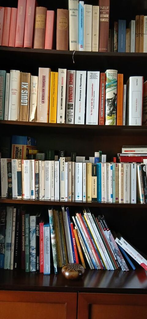Lot de plus de 300 livres Vincennes (94)