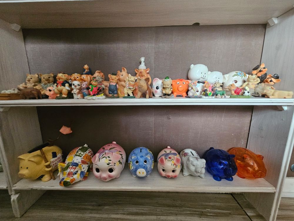 Collection sur le th&egrave;me des cochons 