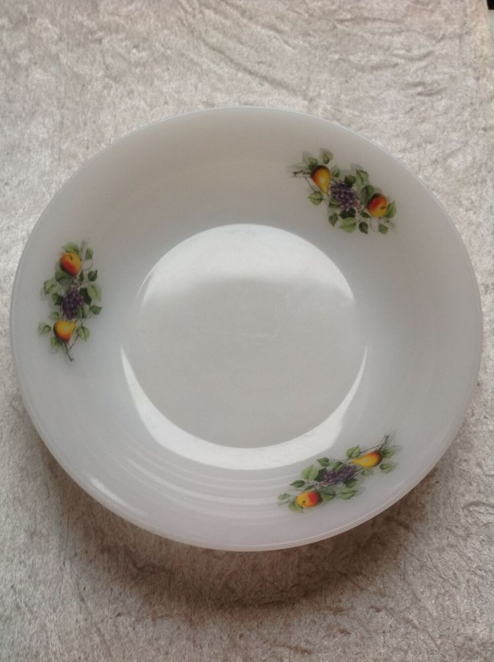 PLAT CREUX ARCOPAL " FRUITS DE FRANCE " EN TRES BON ETAT
Cuisine