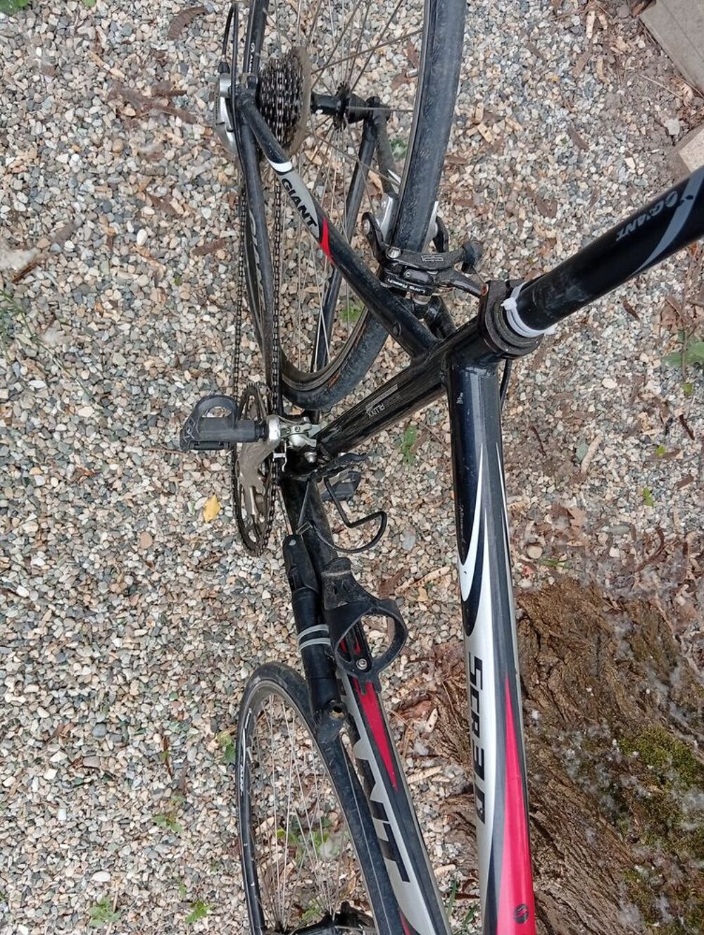 velo de route giant + chaussures Vélos