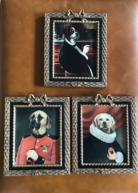 Lot de 3 petits tableaux encadrés Têtes de Chien.Gentlemen 50 Obernai (67)