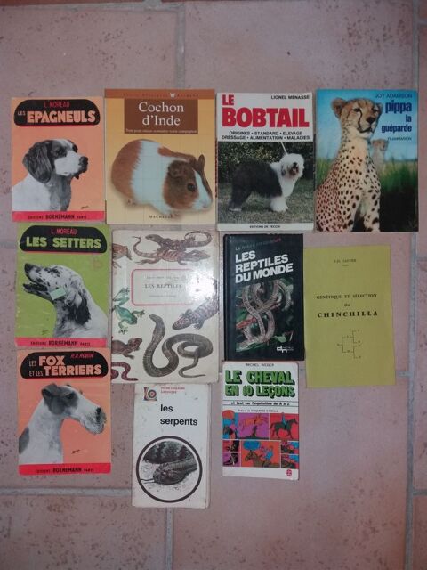 Livres sur les animaux 0 La Valentine (13)