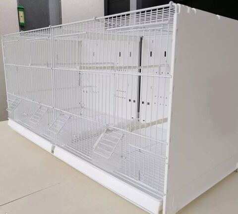 Lot de 24 cages de reproduction pour oiseaux 2400 45230 La bussi�re
