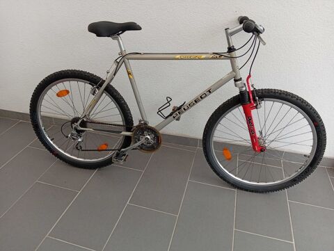 VTT Peugeot 80 Ernestviller (57)