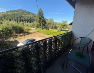 Vente Duplex/Triplex HAUTES VOSGES => DUPLEX MEUBLE sur VENTRON 88310 Ventron