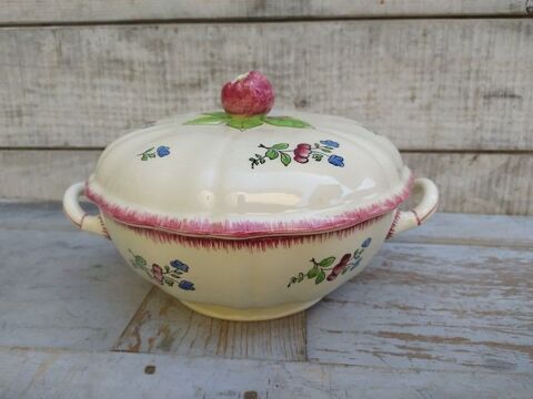 Ancienne Soupi�re Fa�ence de Gien Mod�le Lorraine  
36 Loches (37)